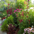 Jardiner ma ville : faites de la ville votre jardin